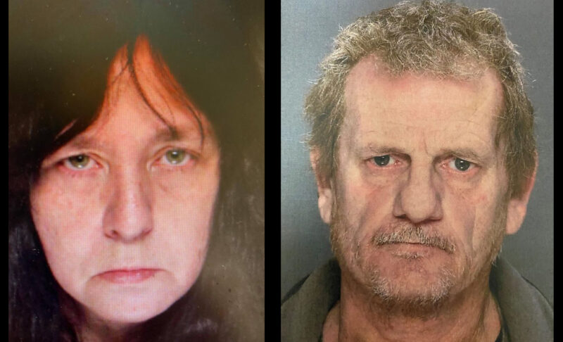 Two more enter pleas for connection to deaths of 2 children | News, Sports, Jobs - Vimarsana News